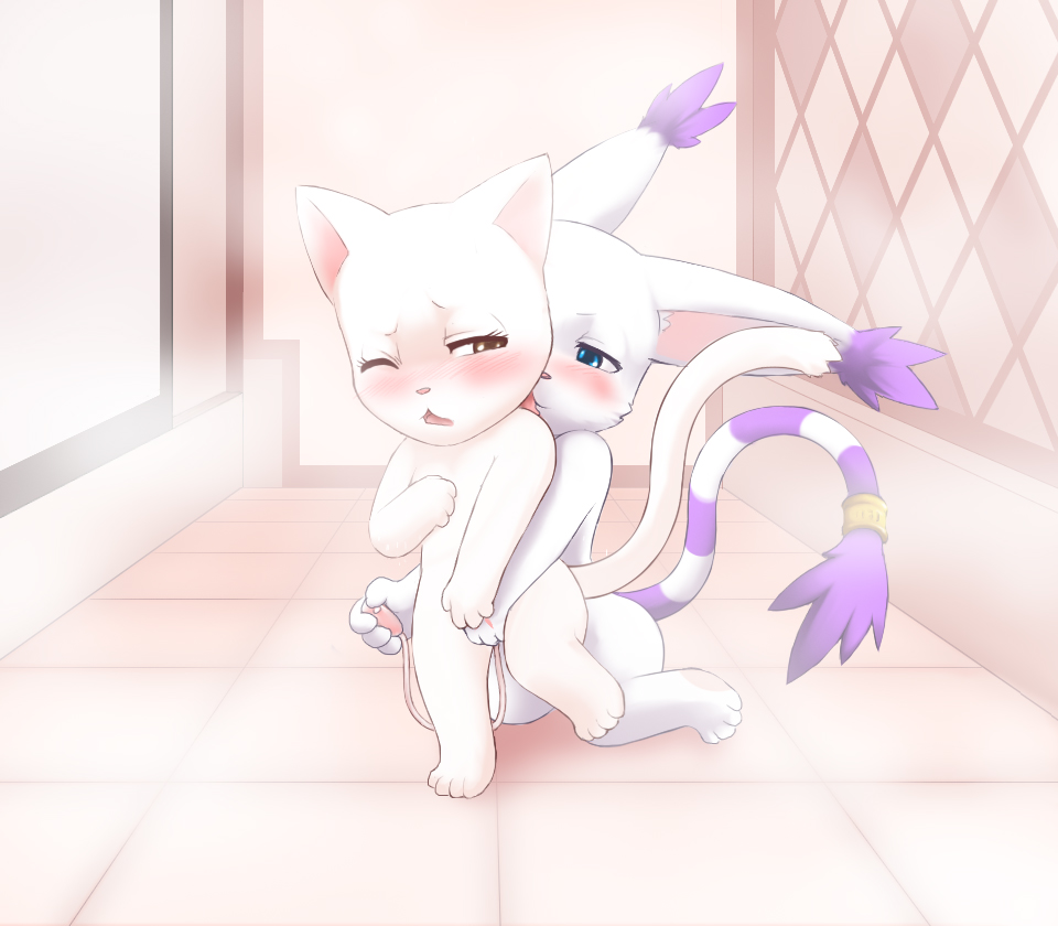 Rule34 – If it exists, there is porn of it / darkmirage, charle, gatomon / 64223