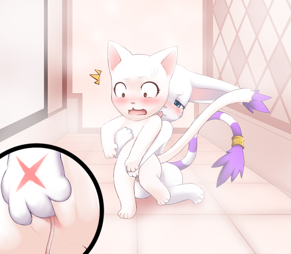 Rule34 – If it exists, there is porn of it / darkmirage, charle, gatomon / 64224