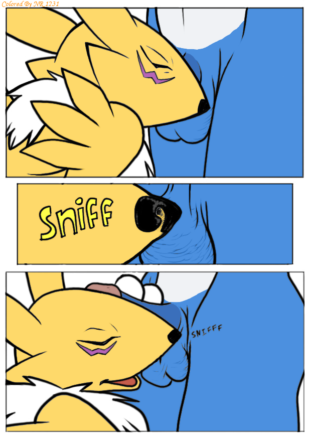Rule34 – If it exists, there is porn of it / nanogrrr, flamedramon, renamon / 64336