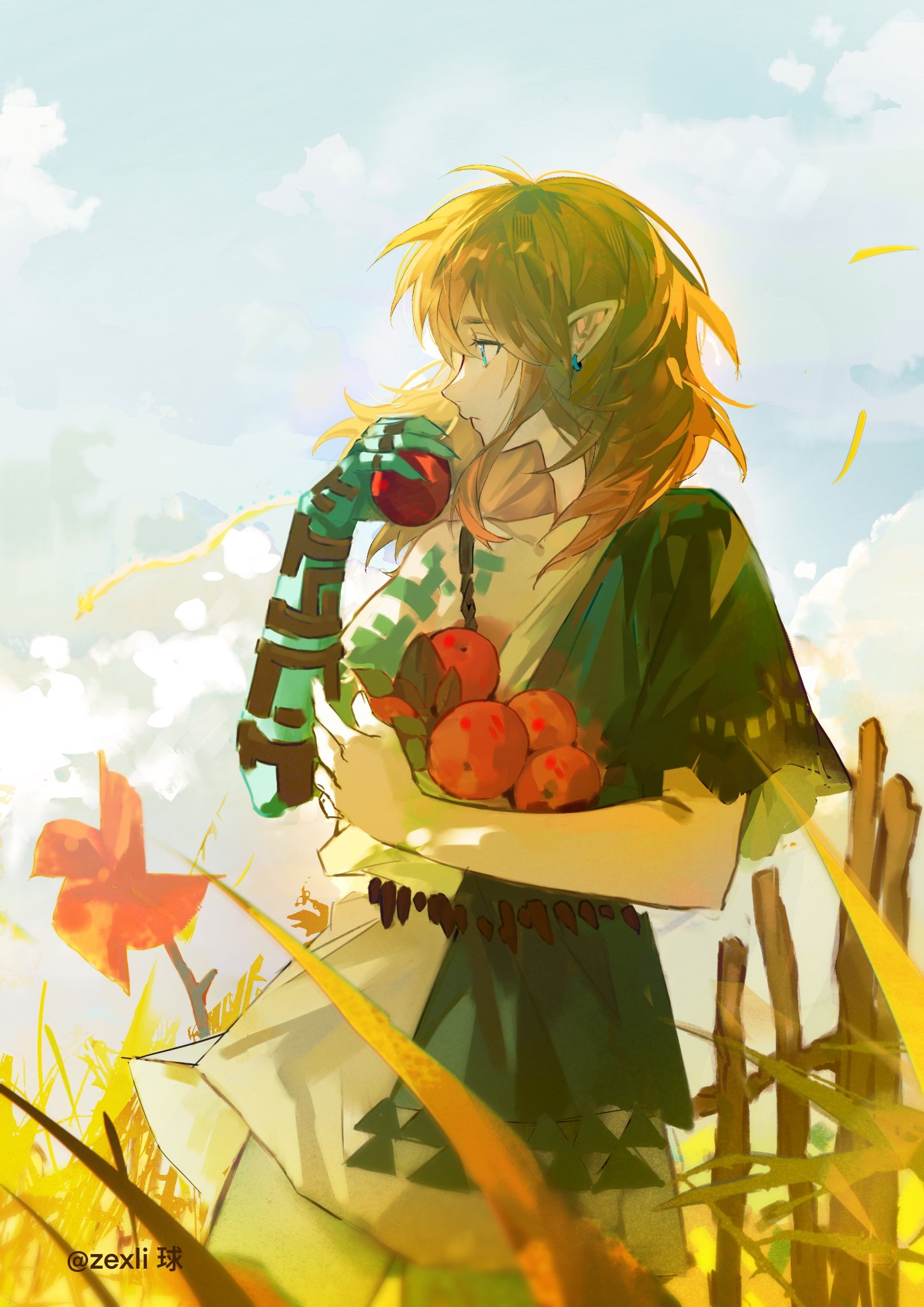 zexli qiu, link, nintendo, the legend of zelda, the legend of zelda: tears of the kingdom, highres, 1boy, apple, aqua eyes, blonde hair, cloud, cloudy sky, cowboy shot, earrings, fence, food, fruit, grass, green robe, hair between eyes, holding, holding food, holding fruit, jewelry, long hair, male focus, pinwheel, pointy ears, robe, sky, solo, twintails