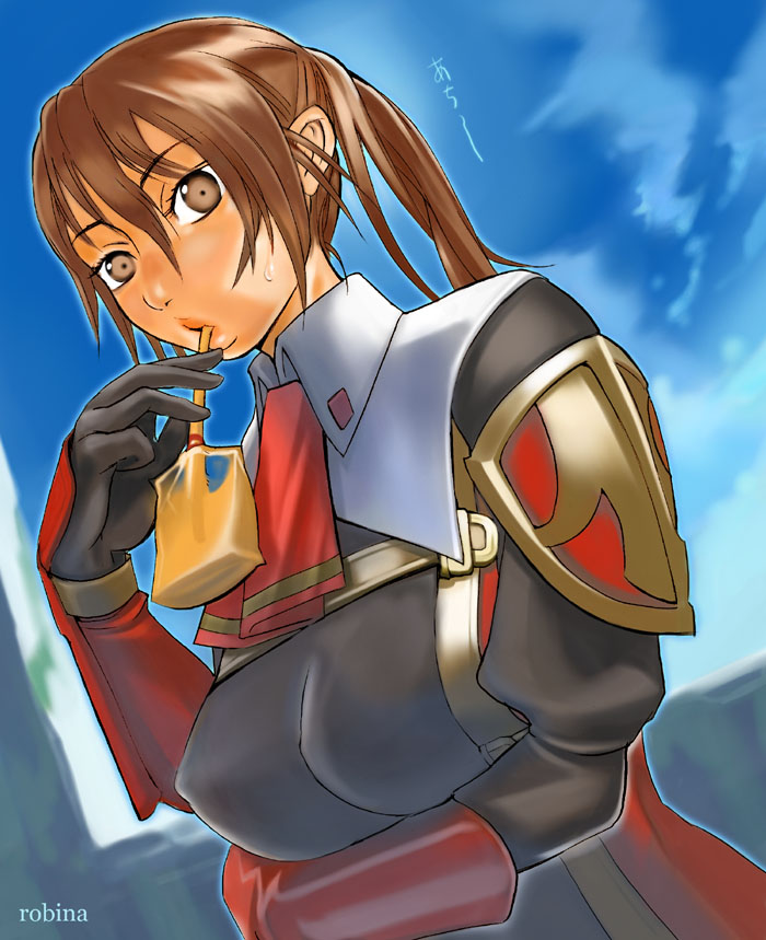 robina, red mage (final fantasy), final fantasy, final fantasy xi, 00s, 1girl, breast rest, breasts, brown eyes, brown hair, covered erect nipples, female focus, gloves, hume, juice, large breasts, long hair, ponytail, sky, solo, sweatdrop