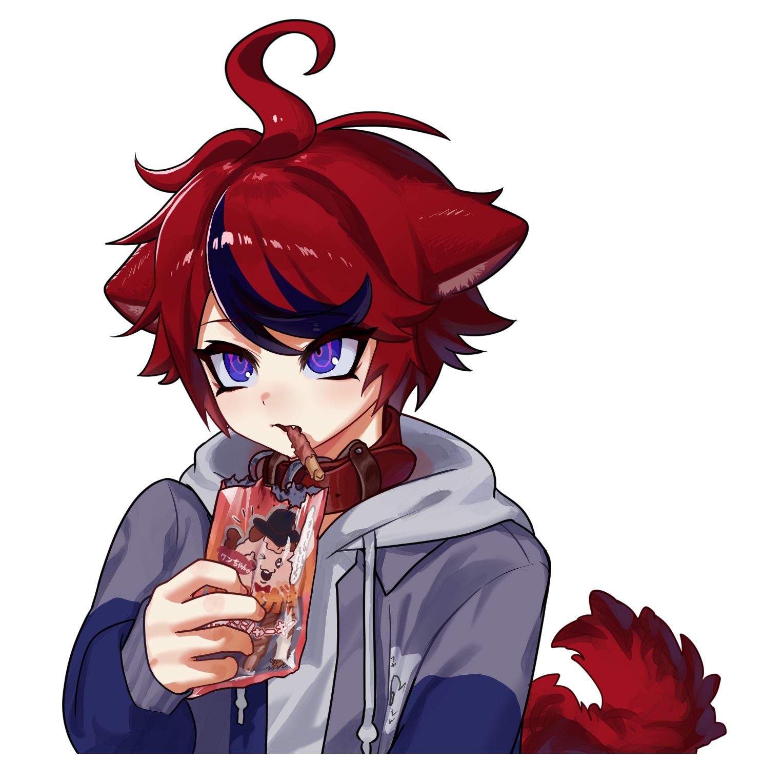 sirei (hundred line), sumino takumi, the hundred line -last defense academy-, commentary request, highres, 1boy, ahoge, animal ears, bag, black hair, blue eyes, blue jacket, collar, cropped torso, dog boy, dog ears, dog tail, dog treat, drawstring, fang, grey jacket, holding, holding bag, hood, hood down, hoodie, jacket, jacket over hoodie, kemonomimi mode, long sleeves, male focus, multicolored hair, multicolored jacket, open clothes, open jacket, red collar, red hair, short hair, simple background, solo, streaked hair, tail, toriuzima, tsurime, two-tone hair, two-tone jacket, white background, white hoodie