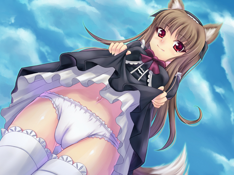 fujirin, holo, spice and wolf, 00s, 1girl, animal ears, brown hair, cameltoe, clothes lift, dress, dress lift, fang, female focus, gothic lolita, lolita fashion, long hair, navel, panties, red eyes, solo, tail, thighhighs, underwear, wolf ears, wolf tail