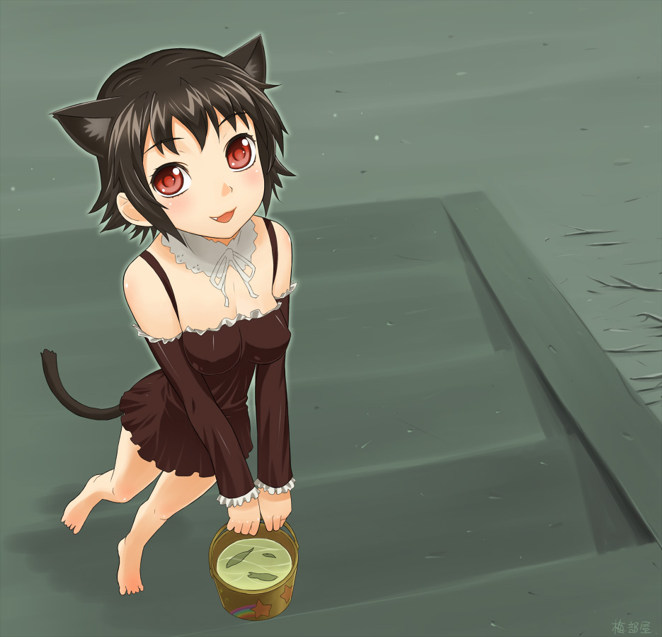 ume (driveume), bad id, bad pixiv id, animal ears, barefoot, black hair, blush, bucket, bucket of water, cat ears, cat tail, dress, fang, fish, red eyes, short hair, solo, tail