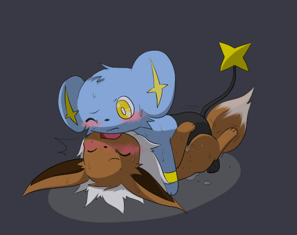 Rule34 – If it exists, there is porn of it / eevee, shinx / 65888