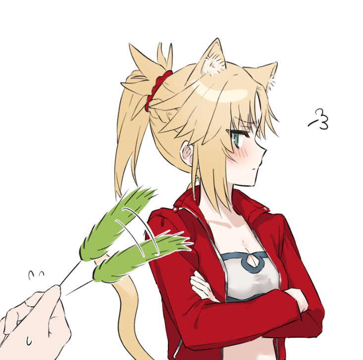 mordred (fate), mordred (memories at trifas) (fate), fate/apocrypha, fate (series), artist request, animal ear fluff, animal ears, annoyed, bandeau, bare shoulders, blonde hair, blush, breasts, cat ears, cat tail, cat teaser, cleavage, crossed arms, green eyes, jacket, ponytail, red jacket, small breasts, stomach, tail, white background, white bandeau