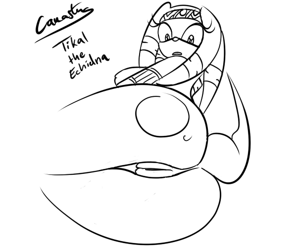 Rule34 – If it exists, there is porn of it / canastus, tikal the echidna / 66729