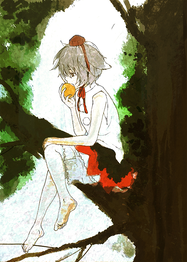 kuma (artist), kuma (crimsonvanilla), inubashiri momiji, touhou, 1girl, barefoot, female focus, in tree, sitting, sitting in tree, solo, tree