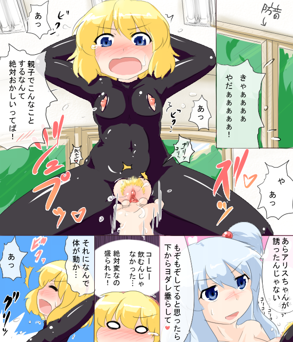 Rule34 – If it exists, there is porn of it / sukedai, alice margatroid, shinki / 66857