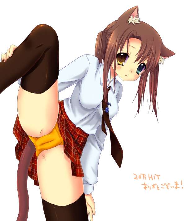 haruno (pixiv), haruno ichigo, bad id, bad pixiv id, 1girl, animal ears, brown hair, cameltoe, cat ears, cat tail, female focus, heterochromia, panties, ponytail, shirt, skirt, solo, tail, thighhighs, underwear