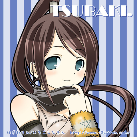 nakatsukasa tsubaki, soul eater, lowres, non-web source, 00s, blue eyes, brown hair, ponytail, solo