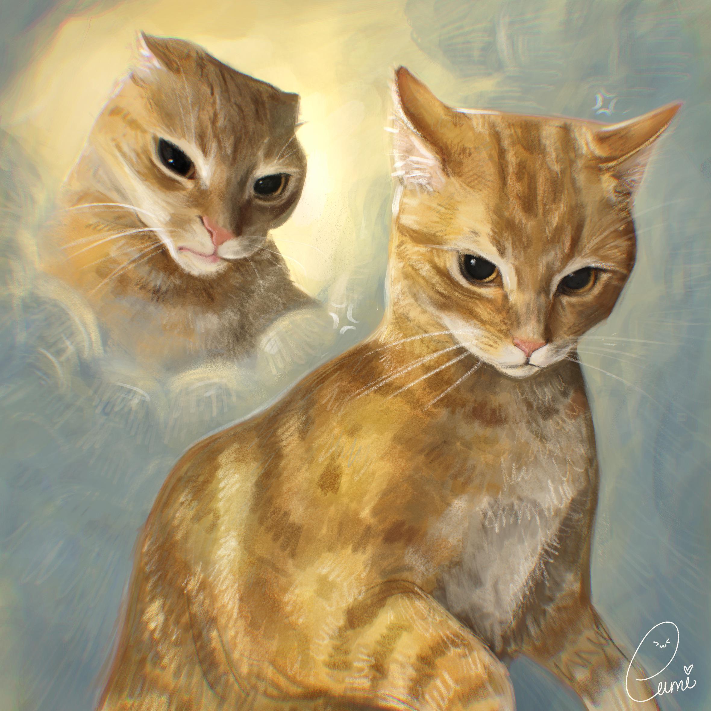 lumi.chii, real life, highres, photo-referenced, procreate (medium), anger vein, angry, animal focus, artist name, cat, looking at viewer, multiple views, no humans, orange cat, signature, tabby cat