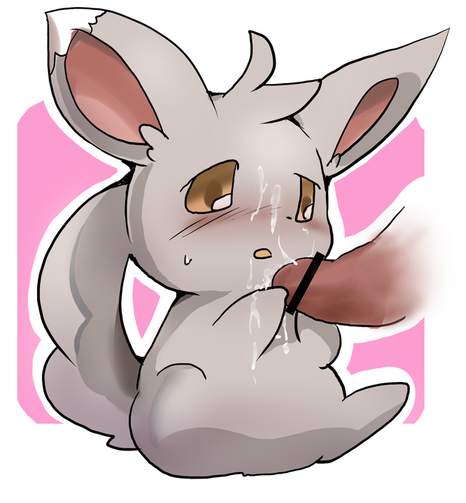 Rule34 – If it exists, there is porn of it / minccino / 67768