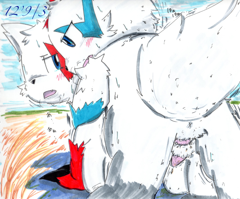 Rule34 – If it exists, there is porn of it / kufurasu, shiny pokemon, zangoose / 67992