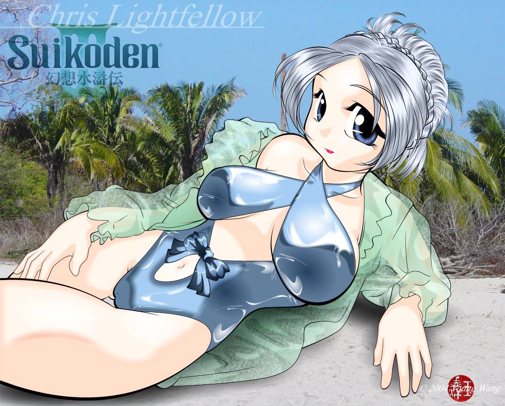 young wang, chris lightfellow, gensou suikoden, gensou suikoden iii, tagme, beach, day, solo, swimsuit
