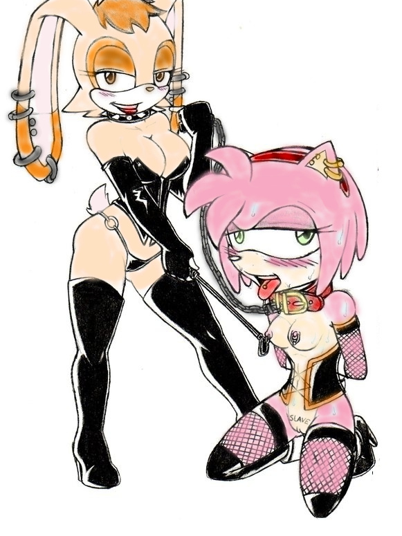 Rule34 – If it exists, there is porn of it / jay-triqz, slashysmiley, amy rose, vanilla the rabbit / 68255