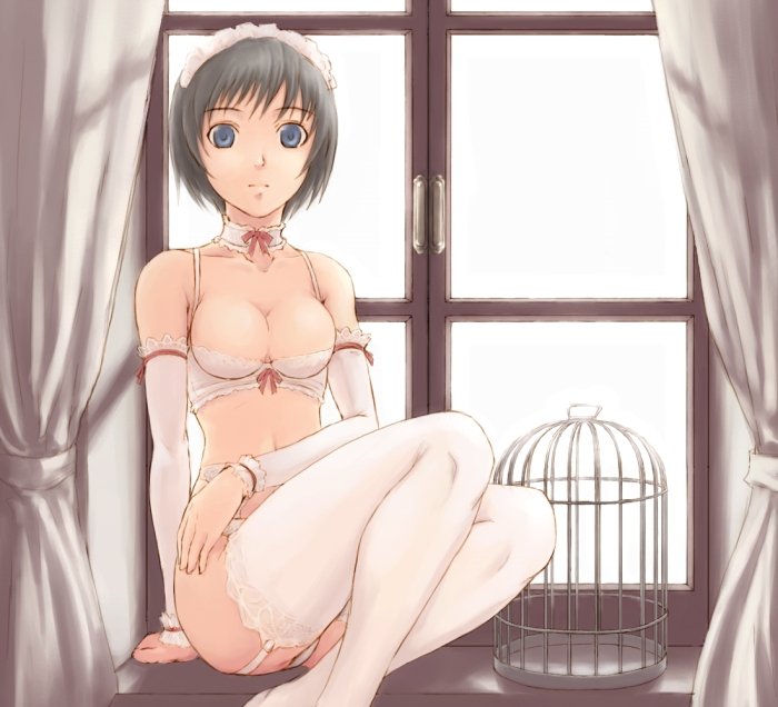 kawaraya (pixiv6596), 1girl, birdcage, black hair, blue eyes, bra, breasts, cage, choker, cleavage, detached sleeves, female focus, garter belt, lingerie, medium breasts, no nipples, sitting, solo, thighhighs, underwear, window