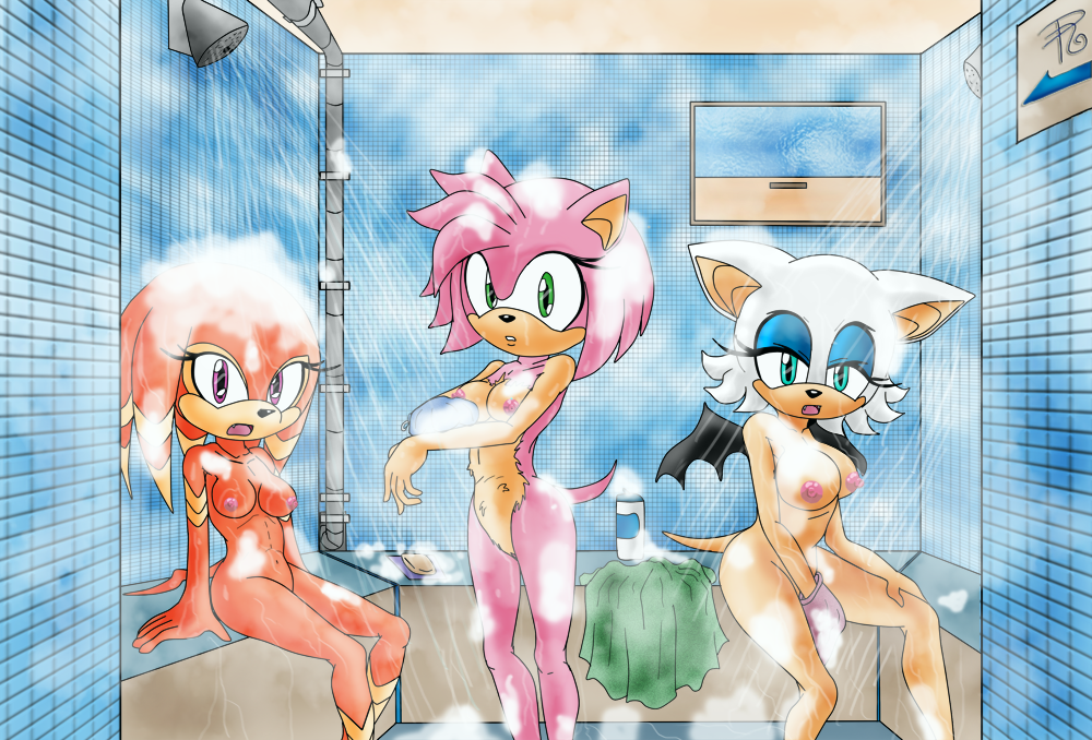 Rule34 – If it exists, there is porn of it / raianonzika, amy rose, rouge the bat, shade the echidna / 69063