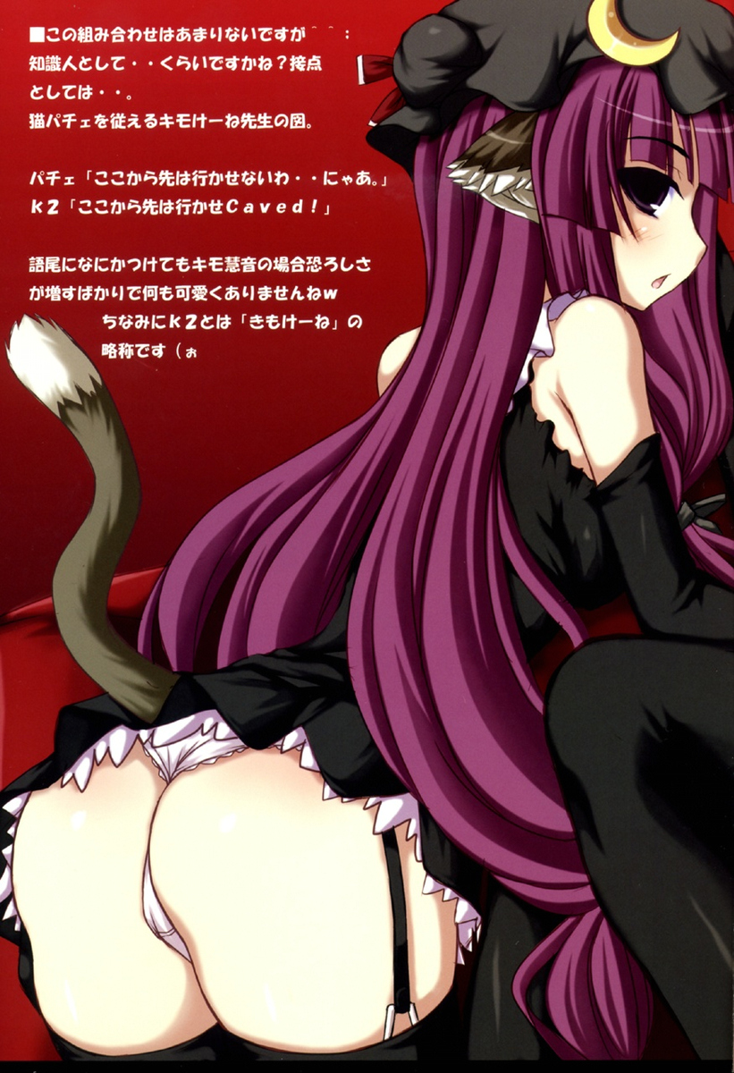 jema, patchouli knowledge, touhou, highres, 1girl, animal ears, ass, cat ears, cat girl, cat tail, female focus, garter belt, panties, solo, tail, underwear, wedgie, white panties