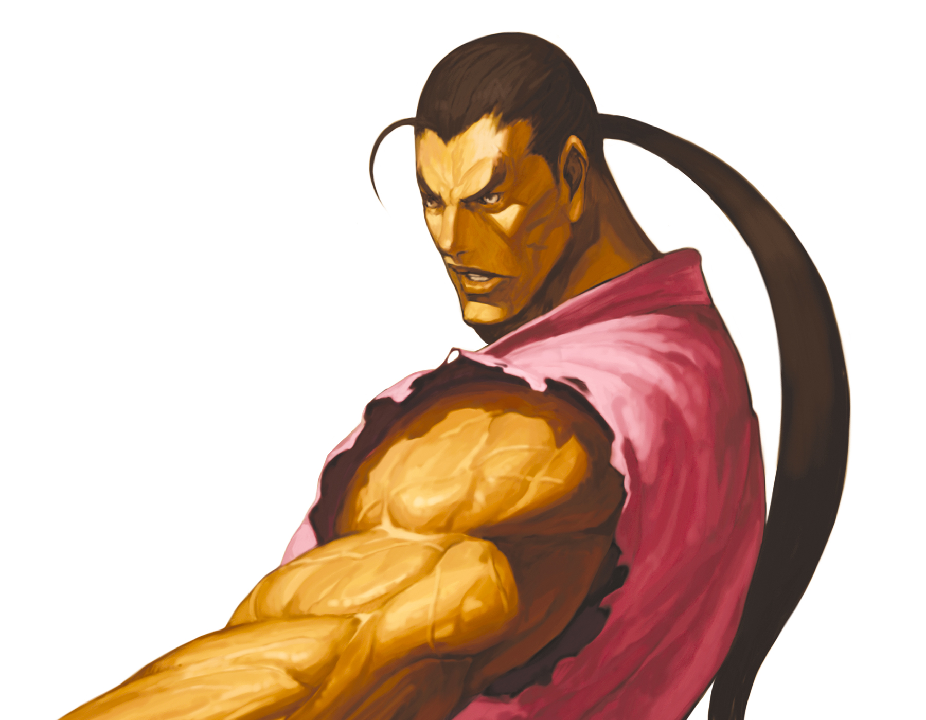 nona, hibiki dan, capcom, street fighter, svc chaos, highres, official art, 1boy, ahoge, brown hair, dougi, male focus, muscular, ponytail, solo
