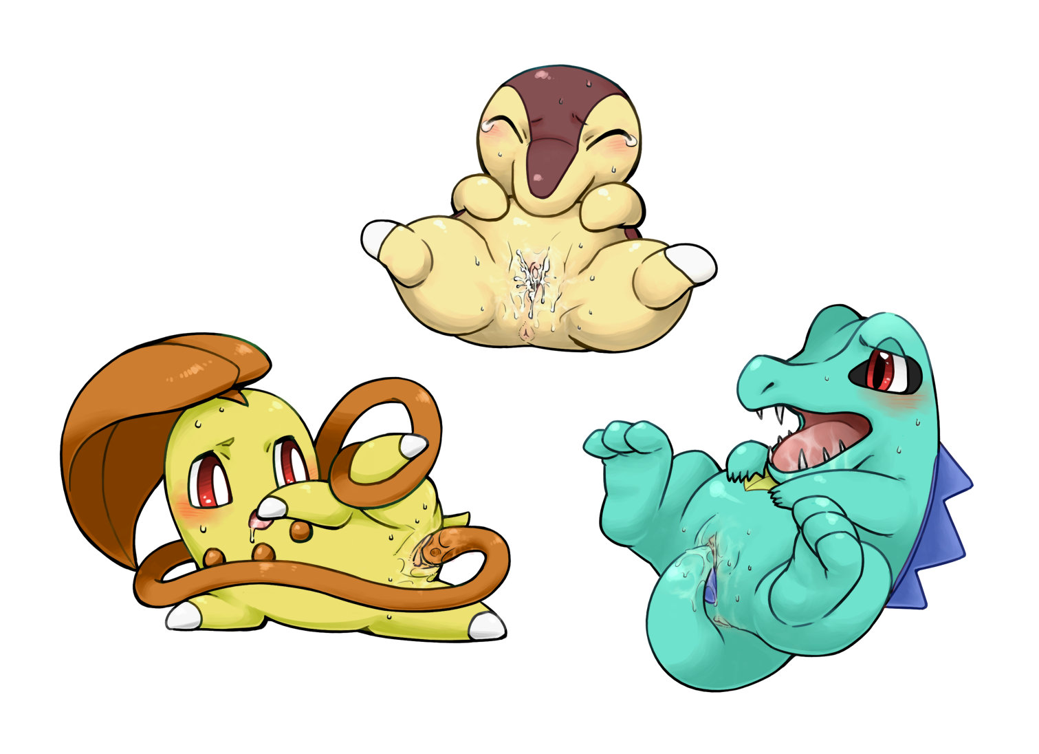 Rule34 – If it exists, there is porn of it / komeko-nk, chikorita, cyndaquil, shiny pokemon, totodile / 70096