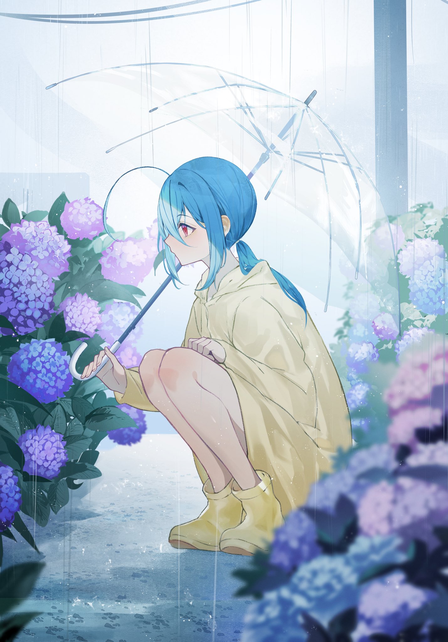 murumuru (pixiv51689952), original, commentary, highres, 1girl, ahoge, blue hair, blurry, blurry foreground, boots, day, flower, from side, full body, holding, holding umbrella, hydrangea, long hair, long sleeves, looking ahead, low ponytail, outdoors, ponytail, power lines, profile, purple flower, rain, raincoat, red eyes, sidelocks, solo, squatting, transparent, transparent umbrella, umbrella, utility pole, yellow boots, yellow raincoat