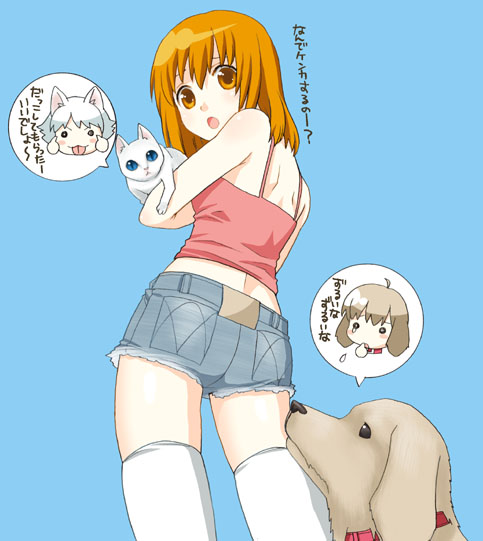 mattaku mousuke, original, camisole, cat, collar, denim, denim shorts, dog, kneehighs, orange eyes, orange hair, shorts, socks, solo, thighhighs