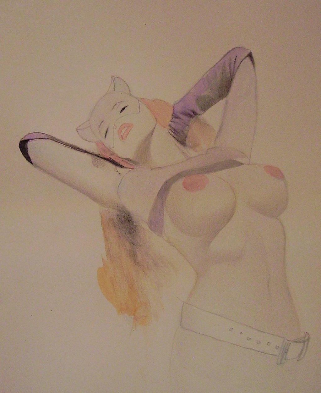 Rule34 – If it exists, there is porn of it / shelton bryant, catwoman, selina kyle / 72927