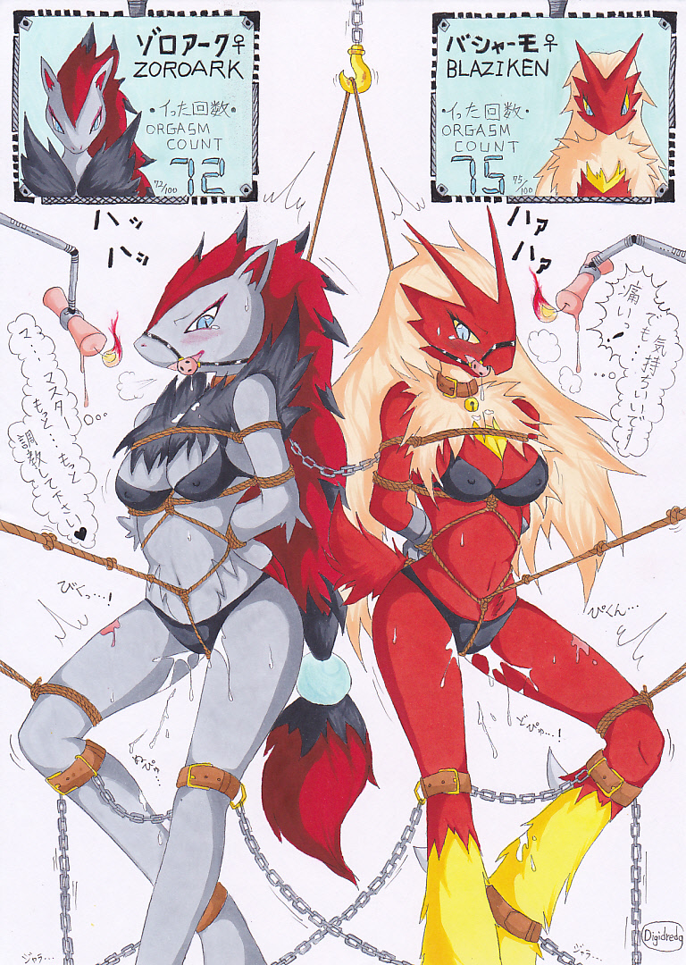 Rule34 – If it exists, there is porn of it / digidredg, blaziken, zoroark / 73116