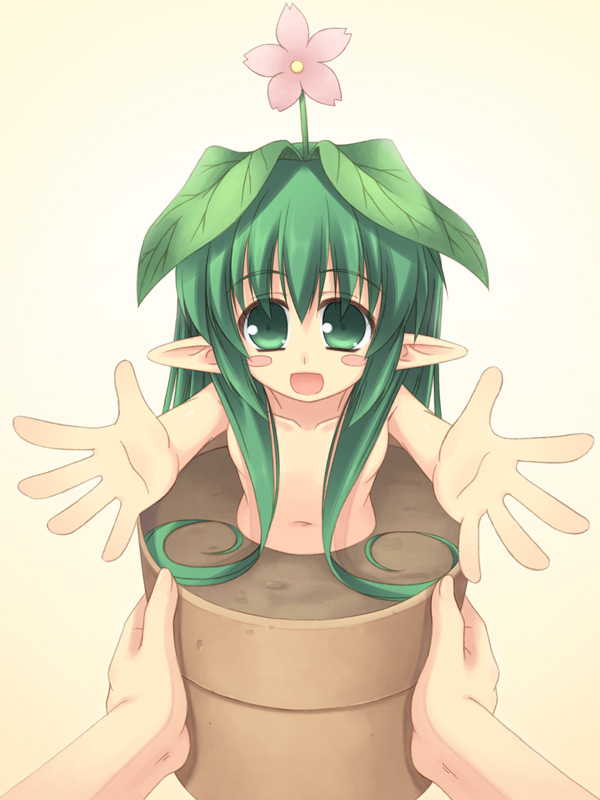 moriguchi yuu, sore, mahoraba, 00s, 1girl, :d, blush stickers, flat chest, flower, flower on head, flower pot, green eyes, green hair, hair over breasts, leaf, loli, long hair, monster girl, nude, open mouth, outstretched arms, plant, plant girl, pointy ears, potted plant, pov, smile, solo focus, yellow background