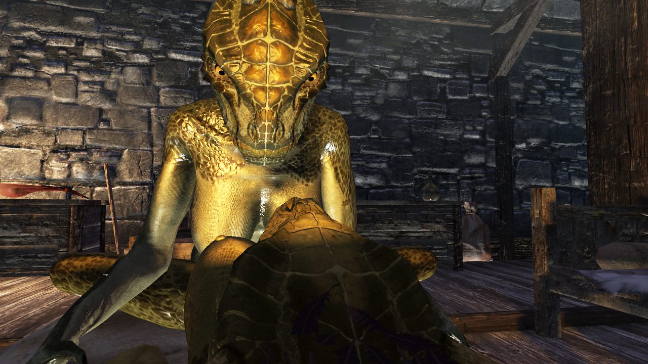 Rule34 – If it exists, there is porn of it / argonian, shahvee / 73553