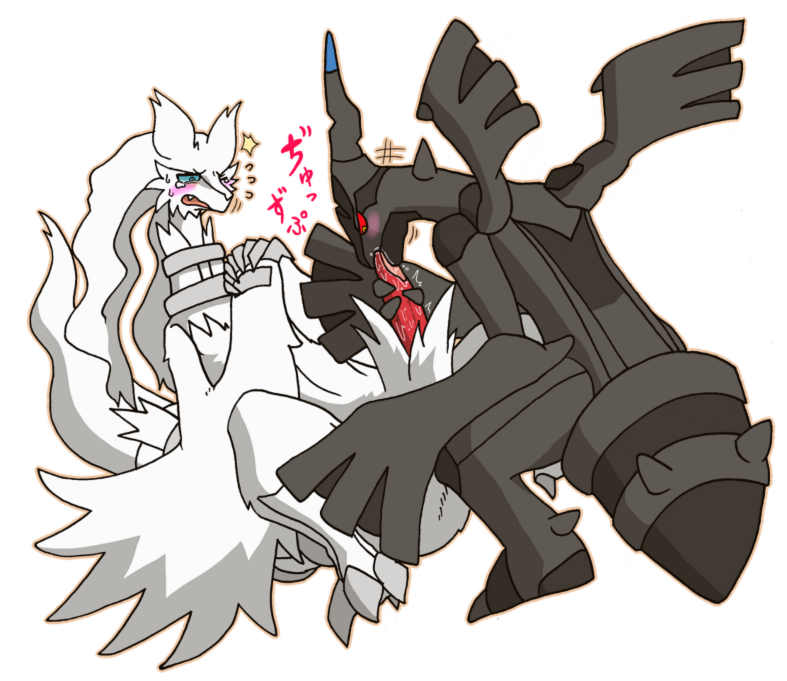 Rule34 – If it exists, there is porn of it / reshiram, zekrom / 74514