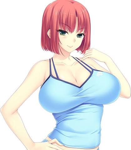 choco chip, takesaka wakana, baku ane 2 ~otouto ippai shibocchau zo!~, lowres, non-web source