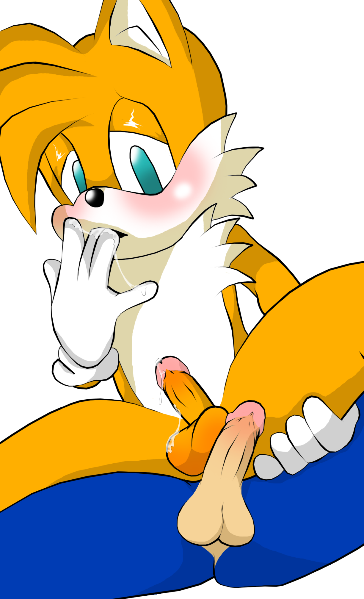 Rule34 – If it exists, there is porn of it / sonic the hedgehog, tails / 74609