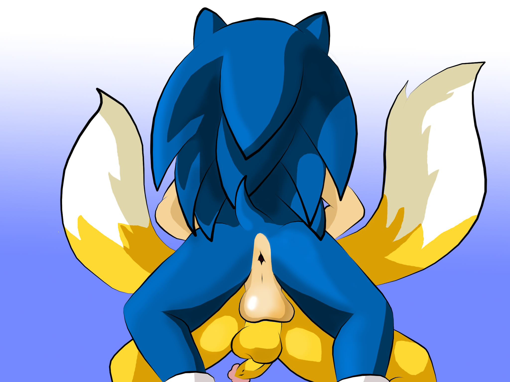 Rule34 – If it exists, there is porn of it / sonic the hedgehog, tails / 74611