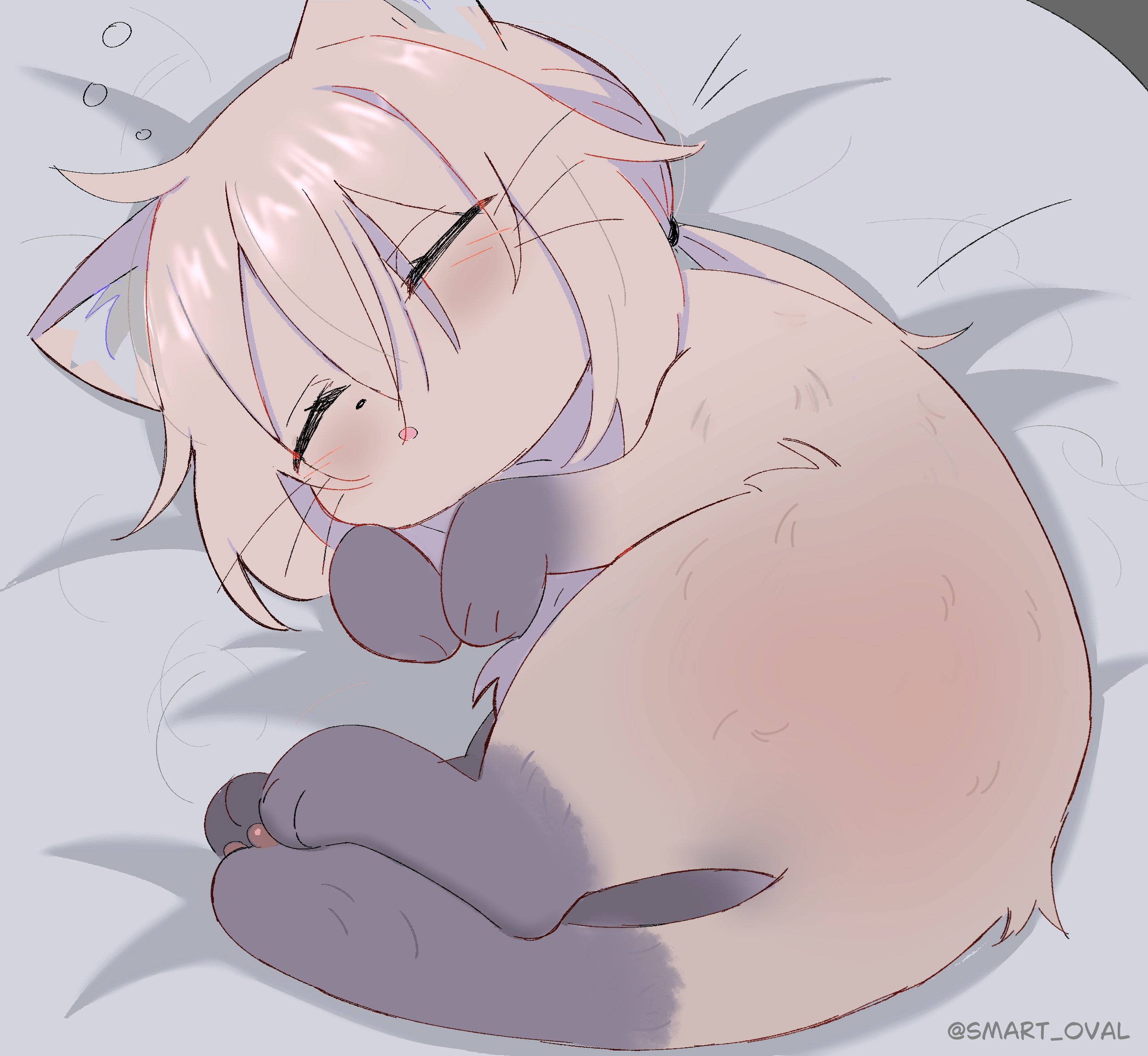 smart oval, m200 (girls' frontline), girls' frontline, commentary, english commentary, highres, 1girl, ahoge, animal with hair, animalization, bed, cat, closed eyes, curled up, grey fur, lying, on bed, on side, ponytail, sleeping, solo, squeans, twitter username