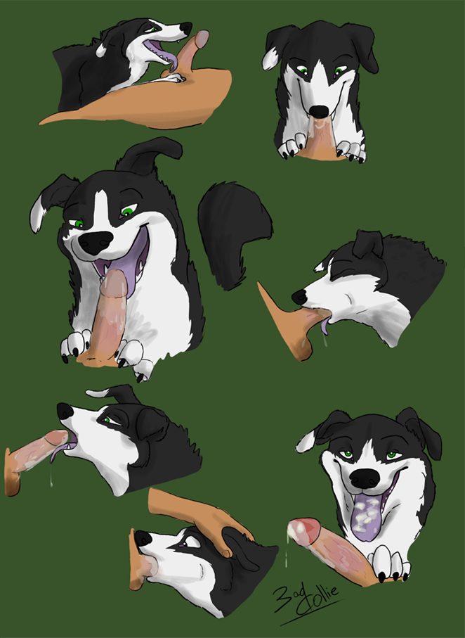Rule34 – If it exists, there is porn of it / bad collie / 74919