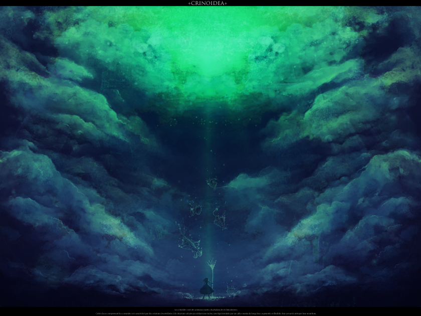 chitose rin, haze, rel, original, bad id, bad pixiv id, 1girl, anomalocaris, cloud, female focus, glowing, letterboxed, prehistoric animal, sky, solo, staff, underwater
