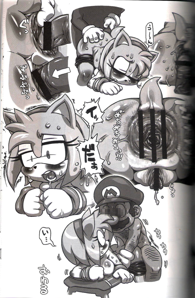 Rule34 – If it exists, there is porn of it / nezumi, amy rose, mario, sonic the hedgehog / 75017