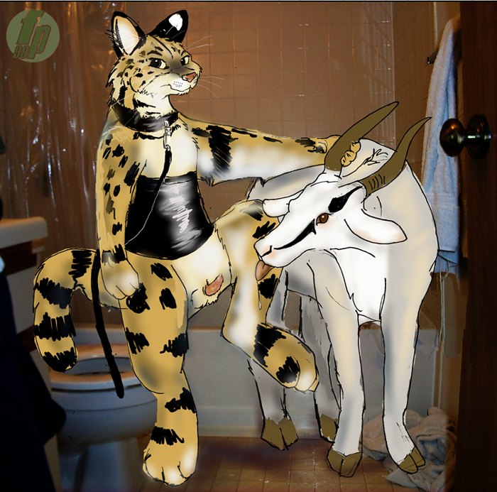 Rule34 – If it exists, there is porn of it / toffee / 75556