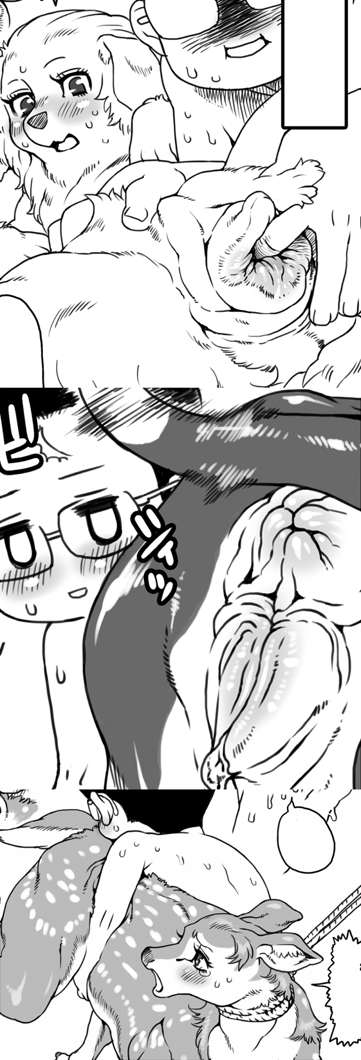 Rule34 – If it exists, there is porn of it / nezumi / 76759
