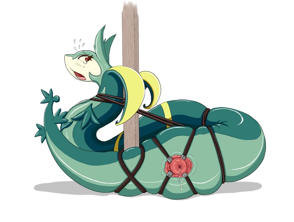Rule34 – If it exists, there is porn of it / serperior / 77268