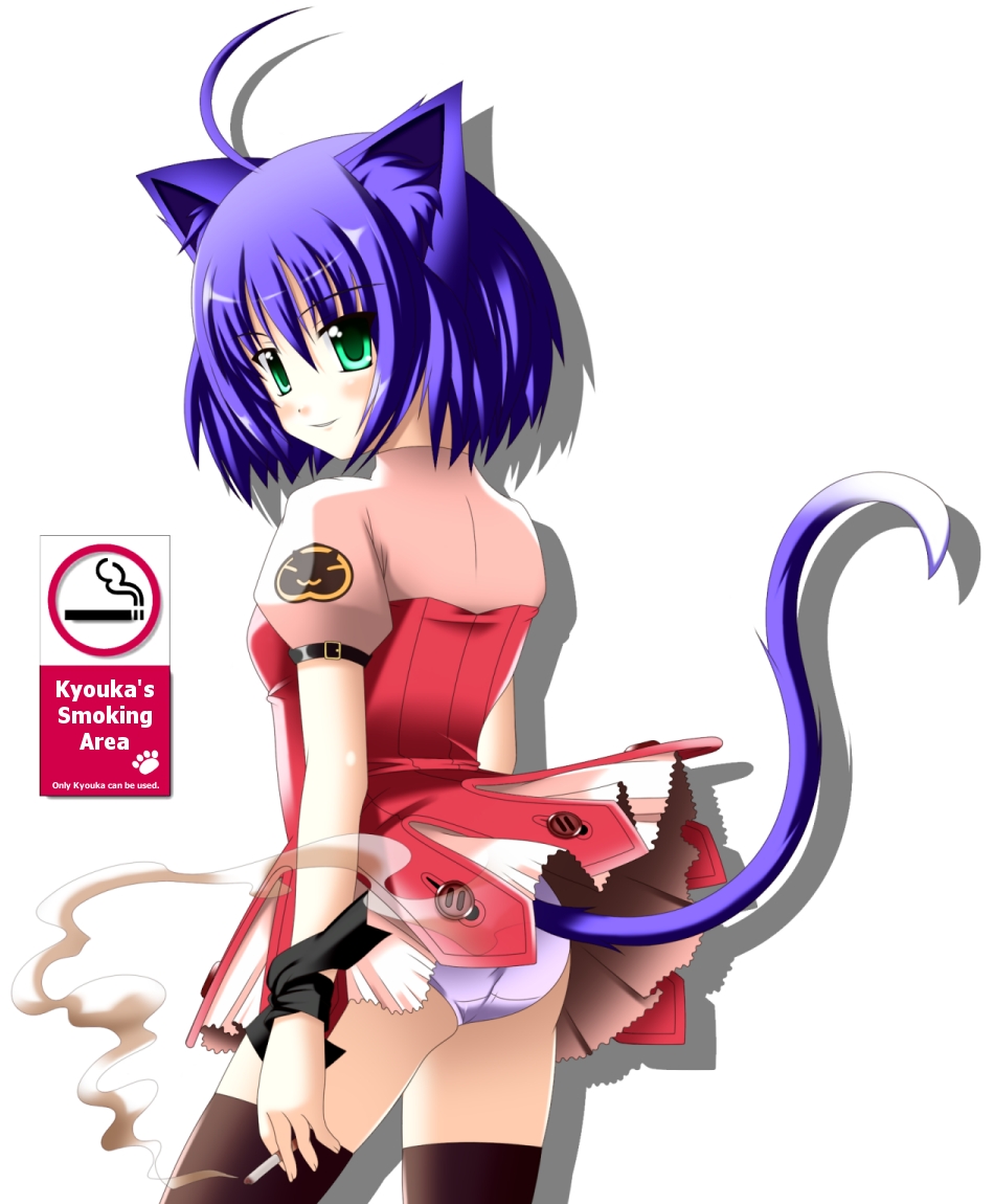 rindou (awoshakushi), midarezaki kyouka, kyouran kazoku nikki, bad id, bad pixiv id, 00s, 1girl, animal ears, cat ears, cat tail, cigarette, english text, engrish text, female focus, panties, pantyshot, ranguage, smoking, solo, tail, thighhighs, underwear