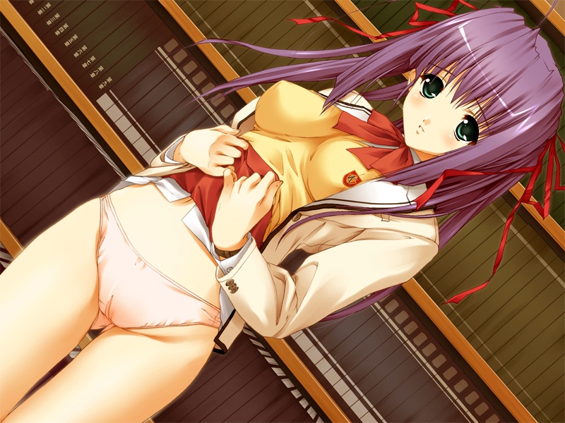 orimiya mai, kuramori yui, mehime no toriko, game cg, source request, 1girl, blush, book, bow, breasts, cameltoe, clothes lift, covered erect nipples, female focus, green eyes, large breasts, library, panties, purple hair, ribbon, skirt, skirt lift, solo, underwear, upskirt