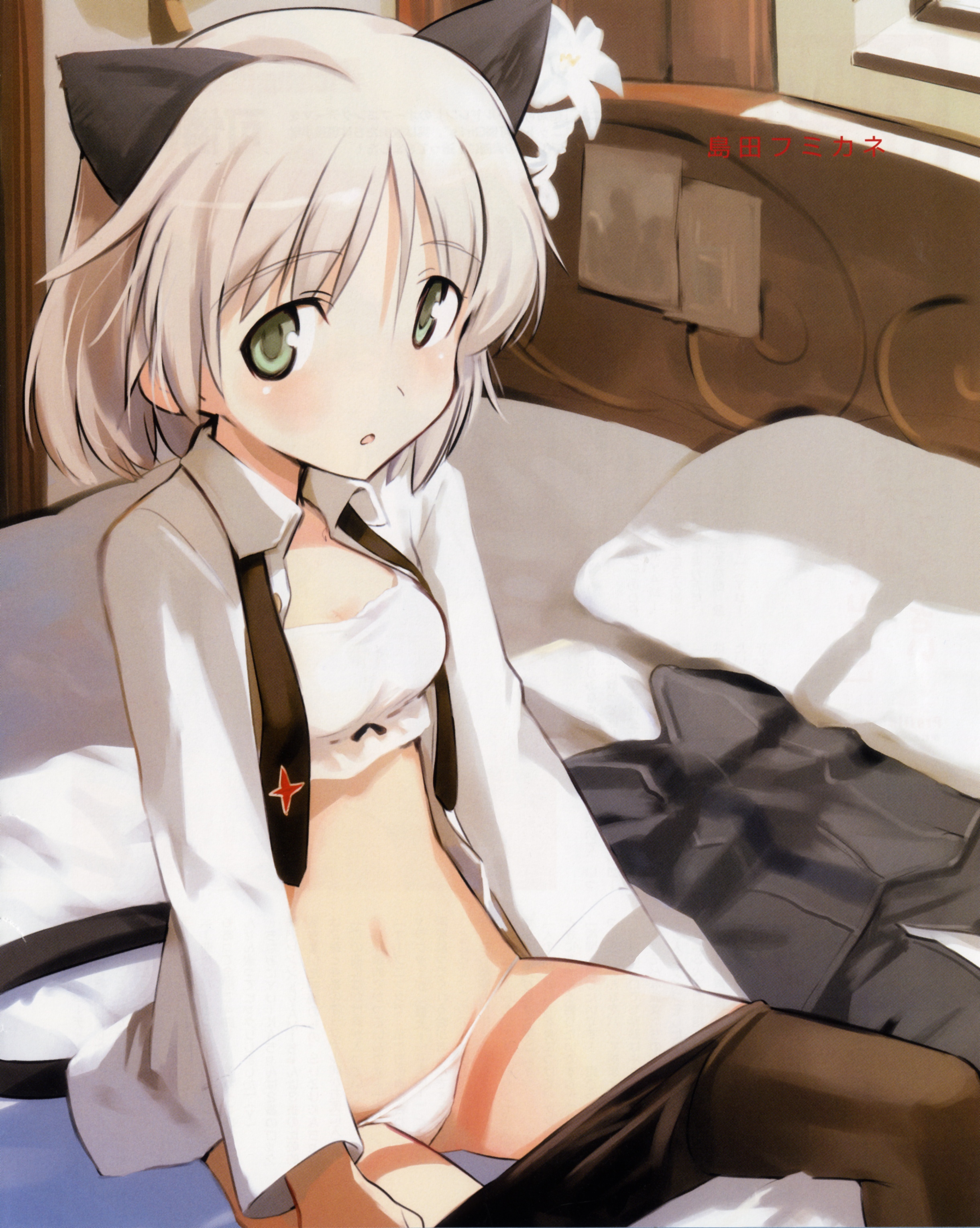 shimada fumikane, sanya v. litvyak, strike witches, world witches series, eyebrows, absurdres, highres, scan, 00s, 1girl, animal ears, black pantyhose, bra, breasts, cat ears, cat tail, clothes pull, dressing, female focus, green eyes, lingerie, lowleg, lowleg panties, navel, necktie, open clothes, open shirt, panties, pantyhose, pantyhose pull, shirt, small breasts, solo, tail, underwear, white panties