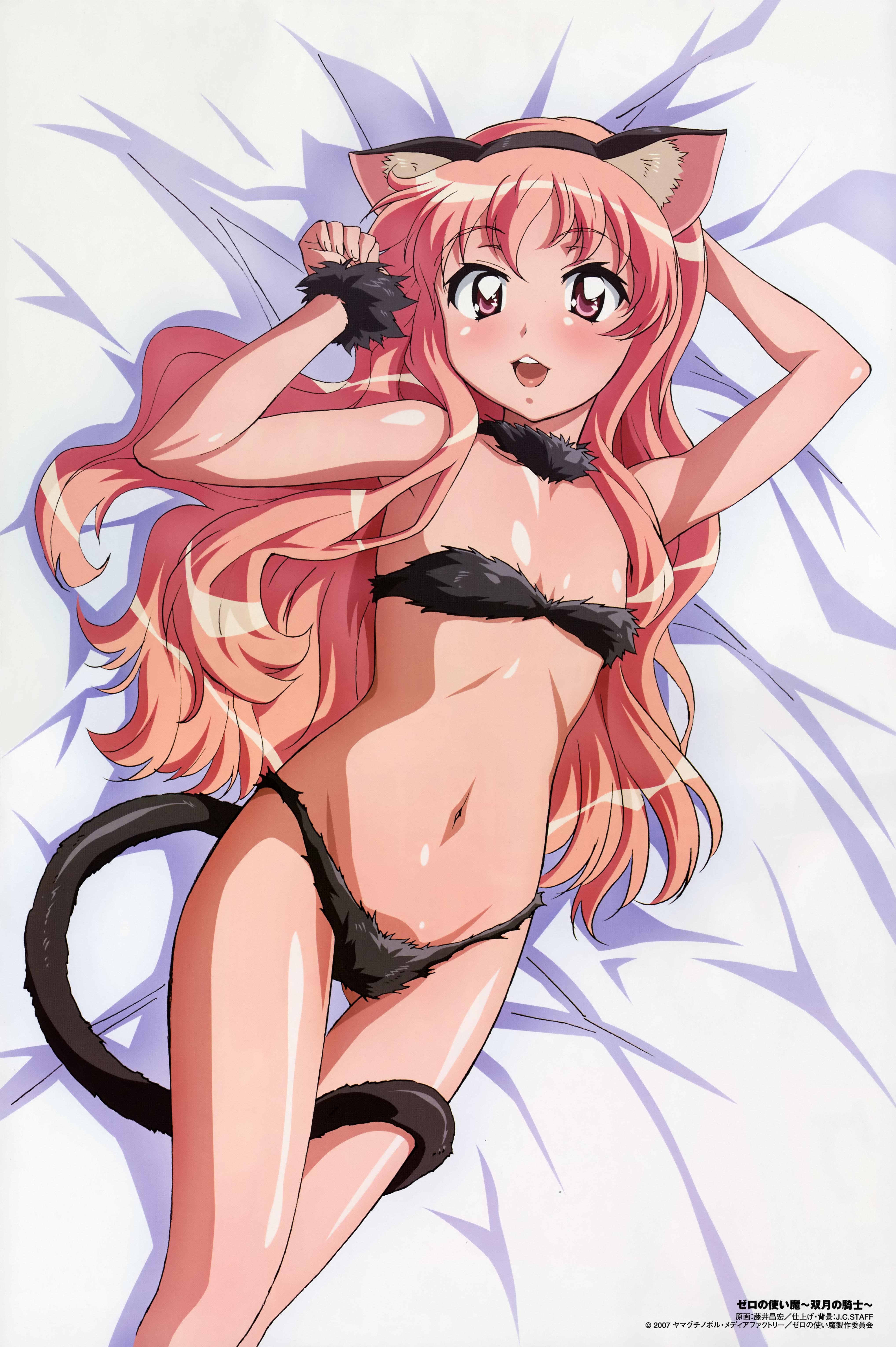 fujii masahiro, louise francoise le blanc de la valliere, comp h's, zero no tsukaima, absurdres, highres, official art, 00s, 1girl, animal ears, bra, cat ears, female focus, flat chest, long hair, panties, solo, underwear, underwear only