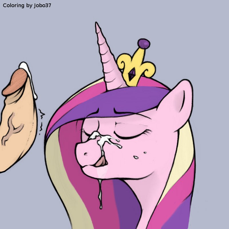 Rule34 – If it exists, there is porn of it / jobo37, princess cadance (mlp) / 78276