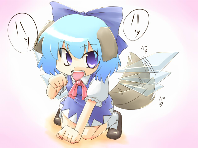 kakkou, cirno, touhou, bad id, bad pixiv id, 1girl, animal ears, blue hair, dog ears, dog tail, dress, female focus, full body, gradient background, ribbon, short hair, solo, tail, tongue, white background, wings