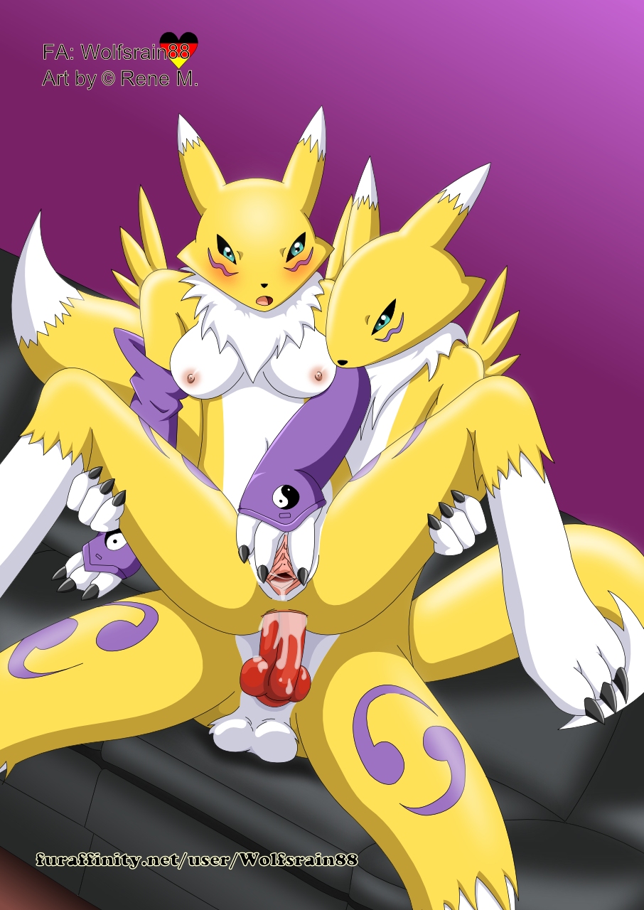 Rule34 – If it exists, there is porn of it / wolfsrain88, renamon / 83087
