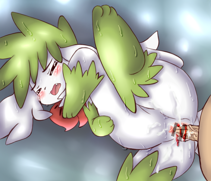 Rule34 – If it exists, there is porn of it / shaymin / 83133